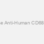 Mouse Anti-Human CD68 mAb